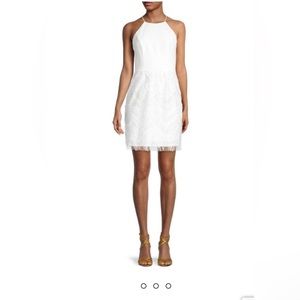 Aidan by Aidan Mattox Embroidery & Fringe-Trim Cocktail Dress